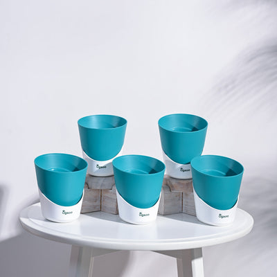 Atlantis Self Watering Planter - 4 Inch (Set of 5)