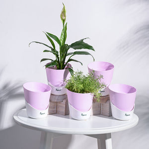 Atlantis Self Watering Planter - 4 Inch (Set of 5)