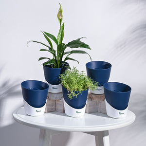 Atlantis Self Watering Planter - 4 Inch (Set of 5)