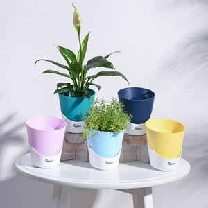 Atlantis Self Watering Planter - 4 Inch (Set of 5)