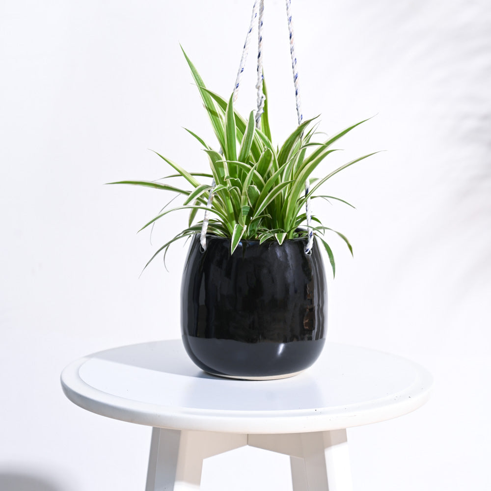 Ladybug Handmade Ceramic Hanging Planter