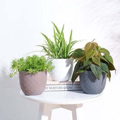 Verona Diamond Planter