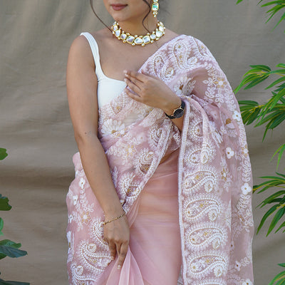 Light Brown Organza Saree