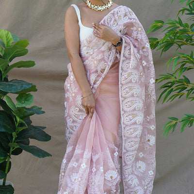Light Brown Organza Saree