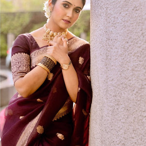 Incredible Wine Soft Silk Saree With Sizzling Blouse Piece