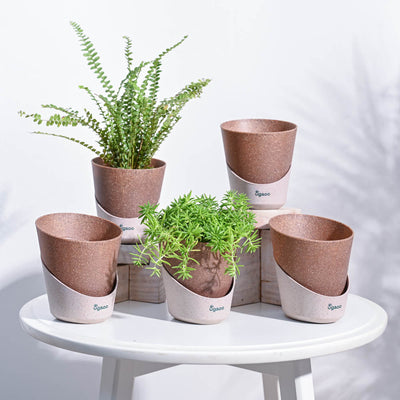Atlantis Self Watering Planter - 4 Inch (Set of 5)
