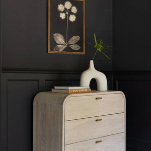 Botanical Photogram Print