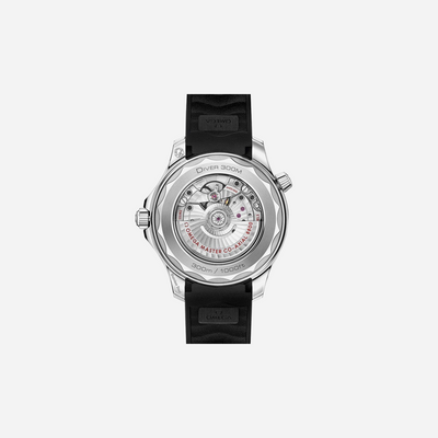 Omega Seamaster Diver 300M Black DIal 42mm