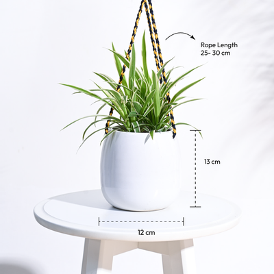 Ladybug Handmade Ceramic Hanging Planter