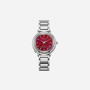 Citizen Eco-Drive Ladies Watch Other Dial