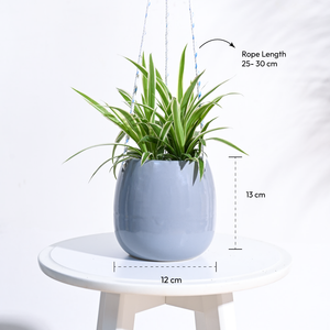 Ladybug Handmade Ceramic Hanging Planter