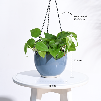 Forma Handmade Ceramic Planter