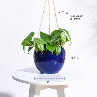 Forma Handmade Ceramic Planter