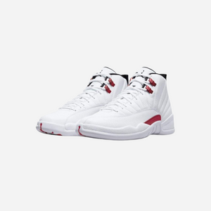 Nike Air Jordan 12 Retro Twist