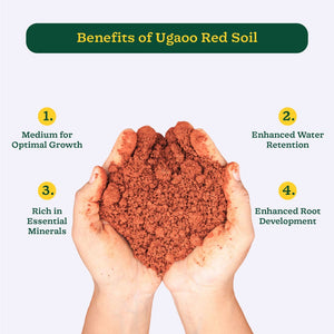Garden Red Soil