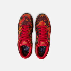 Nike SB Dunk Low Pro 