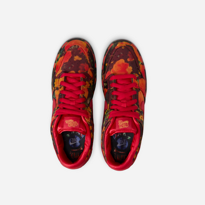 Nike SB Dunk Low Pro 