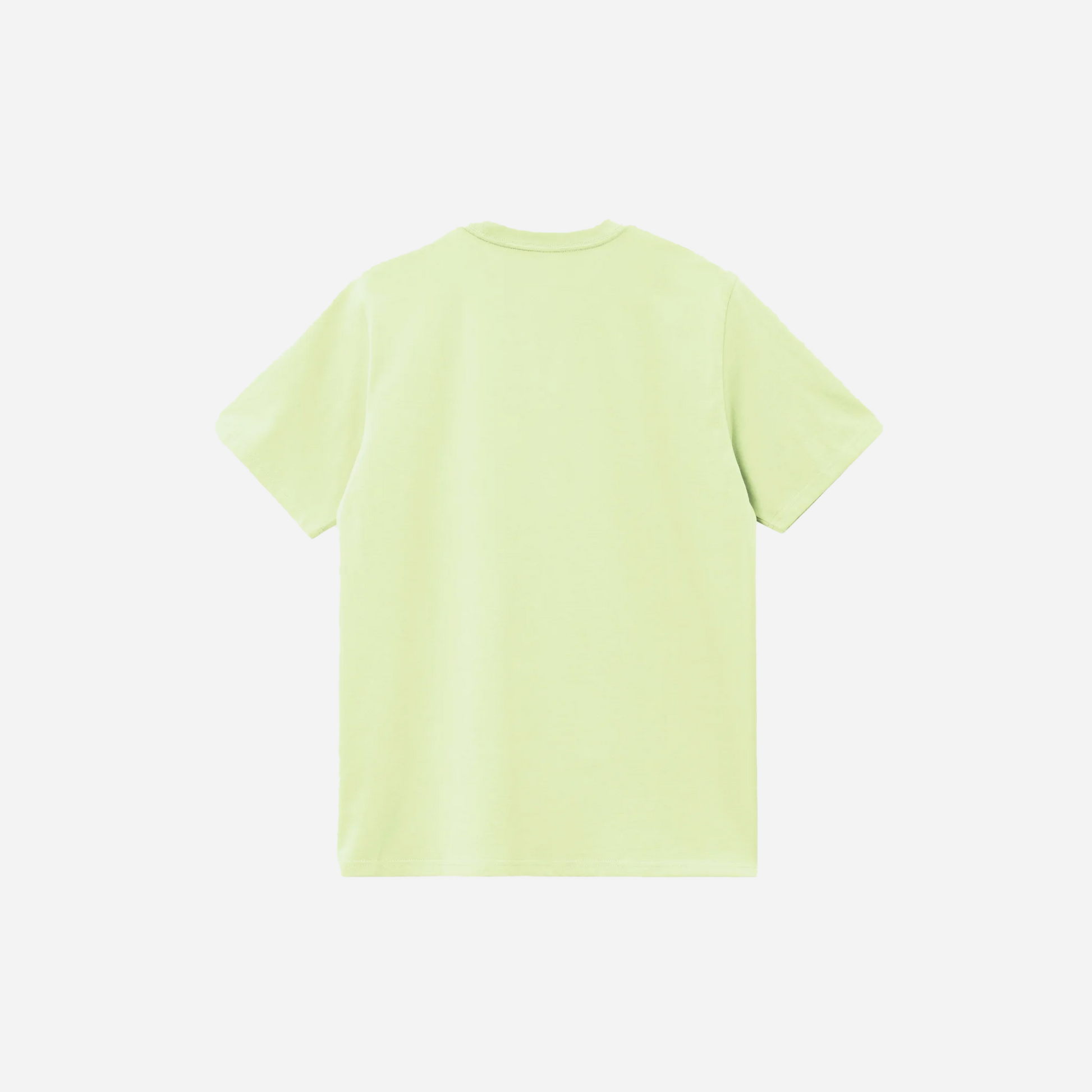 Carhartt Chase T-Shirt Air Green