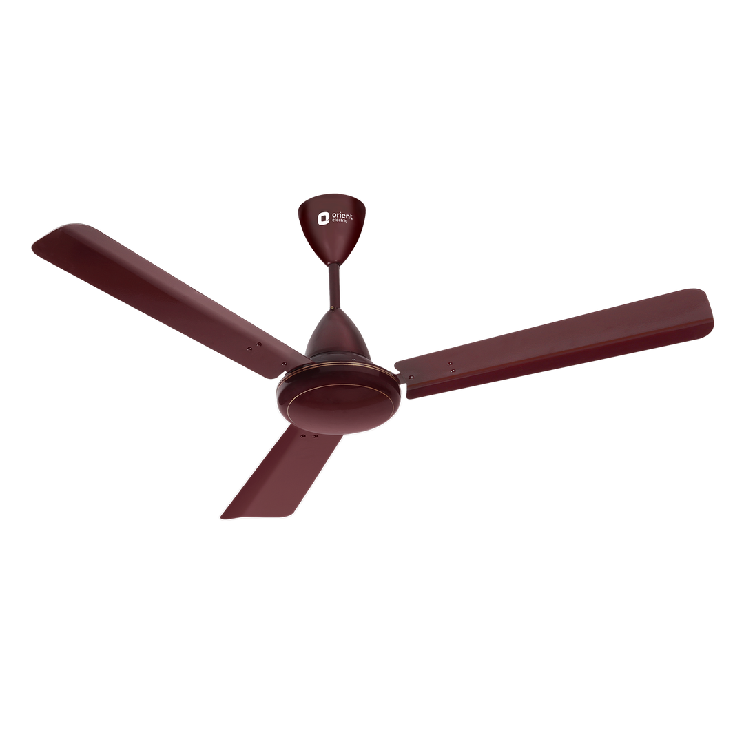 Hector 500 5 Star Rated BLDC Ceiling Fan