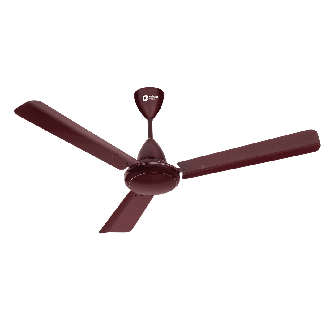 Hector 500 5 Star Rated BLDC Ceiling Fan