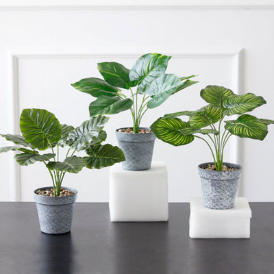 Artificial Plant in Pot