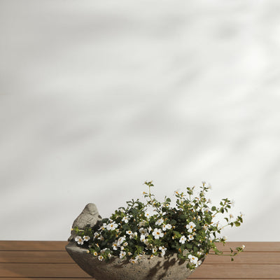 Cast Stone Tabletop Planters by Campania International