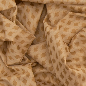 Beige Handwoven Benarasi Organza Silk Saree With Leaf Motifs & Baby Pink Border-Beige