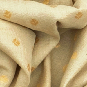 Cream Handwoven Banarasi Silk Saree With Floral Meena Border-Cream