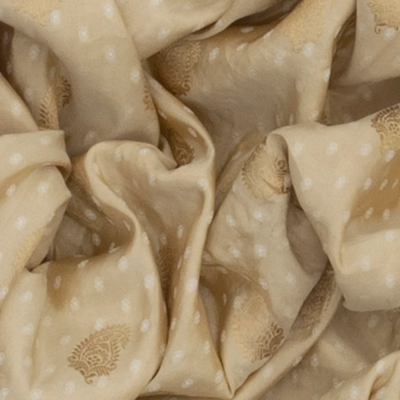 Beige Handloom Banarasi Silk Saree With Paisley Butta -Beige