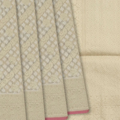 Beige Handloom Banarasi Cotton Saree With Diagonal Vine Motifs-Beige