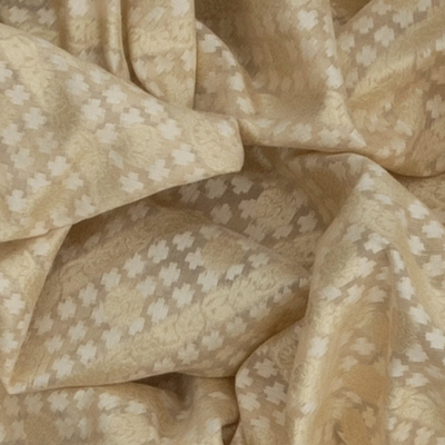 Beige Handloom Banarasi Cotton Saree With Diagonal Vine Motifs-Beige