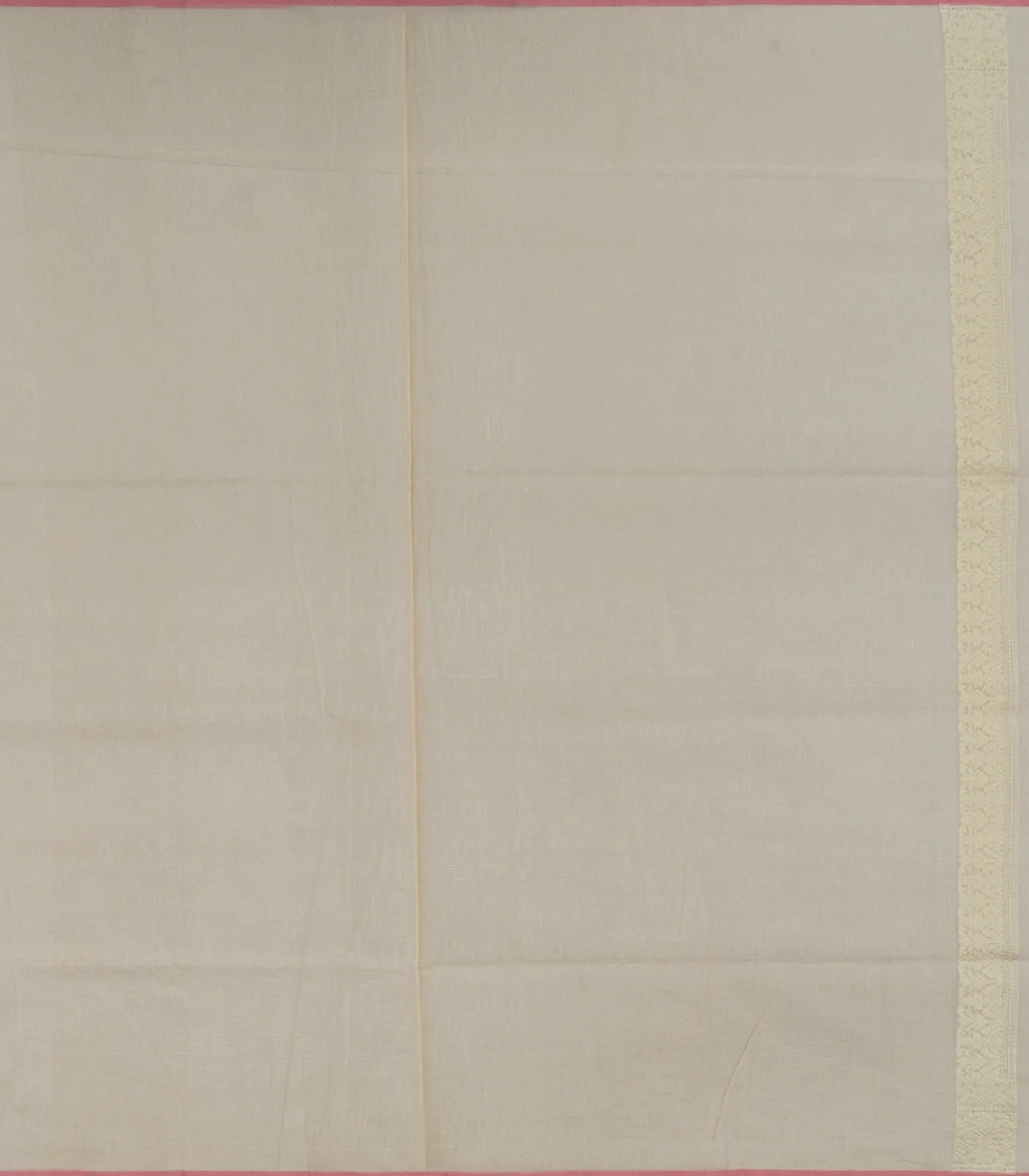 Beige Handloom Banarasi Cotton Saree With Diagonal Vine Motifs-Beige