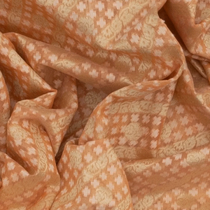 Peach Handloom Banarasi Cotton Saree With Diagonal Vine Motifs