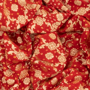 Red Handloom Banarasi Bandhani Khaddi Georgette Saree With Floral Jaal Motifs-Red