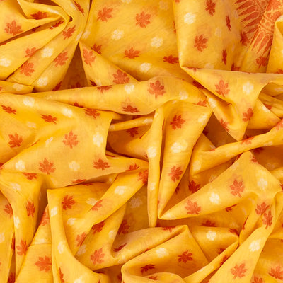 Yellow Handloom Banarasi Cotton Saree With Floral Motifs-Yellow
