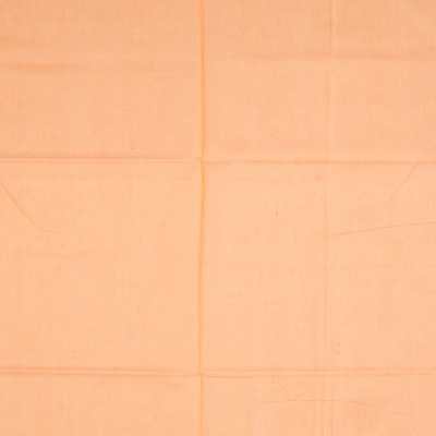 Peach Handloom Banarasi Cotton Saree With Floral Motifs-Peach