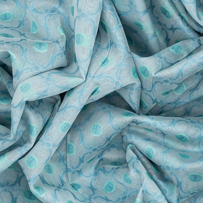 Light Blue Handloom Banarasi Cotton Saree With Floral Jaal Motifs-Light Blue