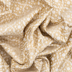 Cream Handloom Banarasi Tissue Silk Saree With Jaal Motifs-Cream