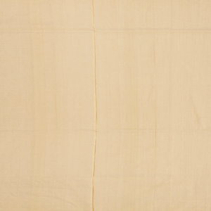 Cream Handloom Banarasi Tissue Silk Saree With Jaal Motifs-Cream