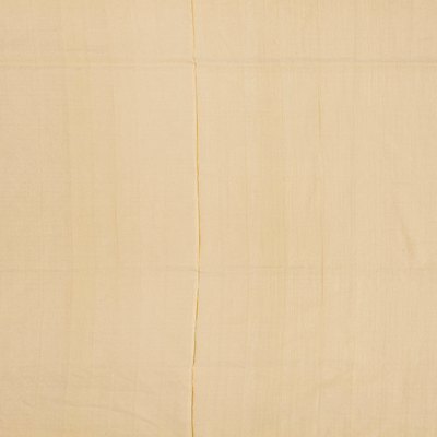 Cream Handloom Banarasi Tissue Silk Saree With Jaal Motifs-Cream