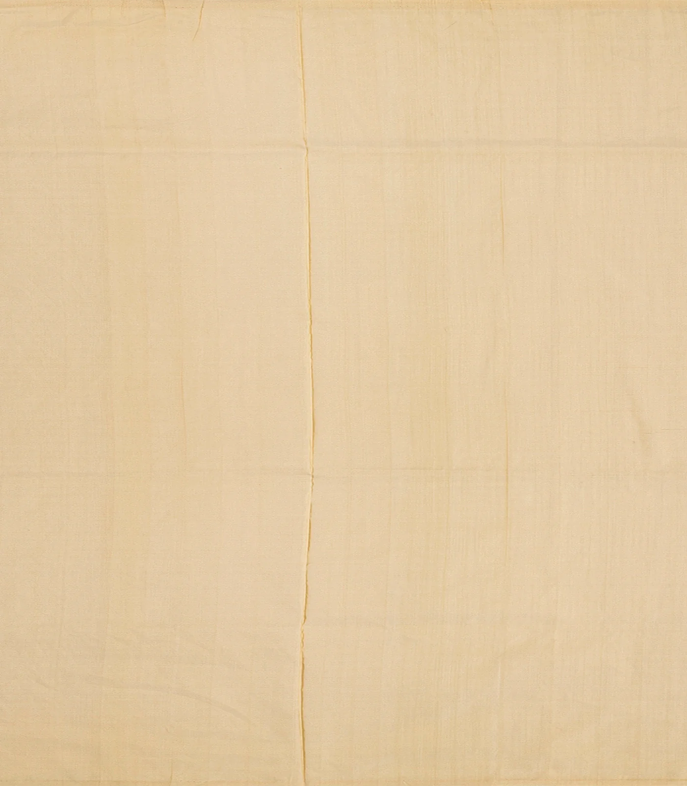 Cream Handloom Banarasi Tissue Silk Saree With Jaal Motifs-Cream