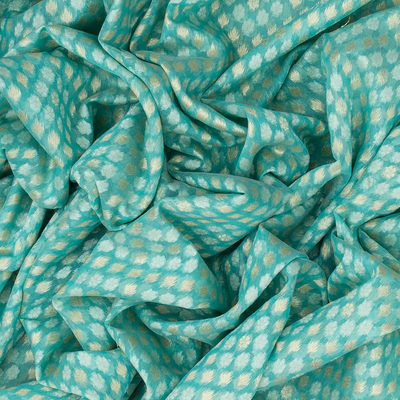 Turquoise Handloom Banarasi Cotton Saree With Floral Motifs-Turquoise