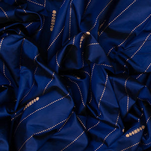 Blue Handloom Banarasi Silk Saree With Dotted Stripes-Blue