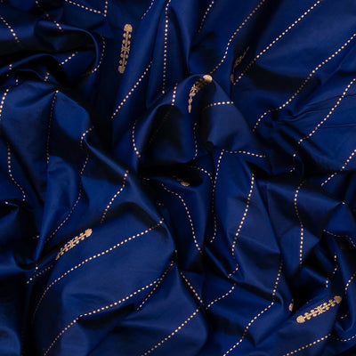 Blue Handloom Banarasi Silk Saree With Dotted Stripes-Blue