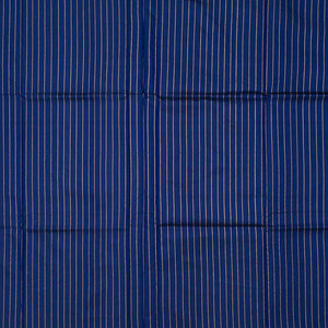 Blue Handloom Banarasi Silk Saree With Dotted Stripes-Blue