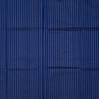 Blue Handloom Banarasi Silk Saree With Dotted Stripes-Blue