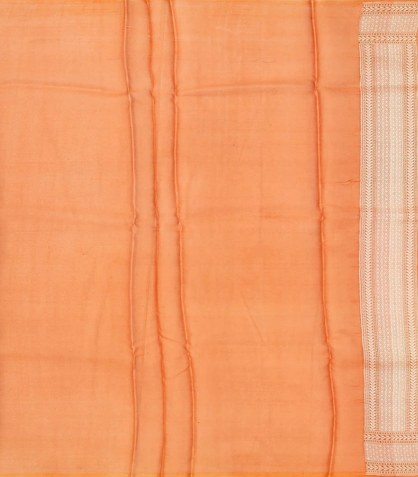 Orange Handwoven Banarasi Organza Rangkat Saree With Floral Vine Motifs-Orange