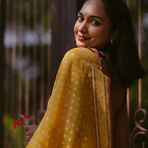 Yellow Handloom Banarasi Jamdani Saree With Floral Motifs-Yellow