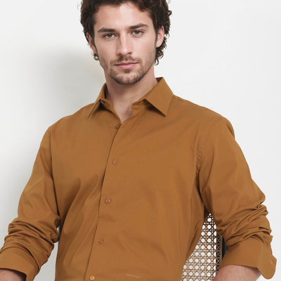 Rare Rabbit Men's Benedict Mustard Cotton Poly Elastane Blend Fabric Full Sleeve Solid Formal Shirt