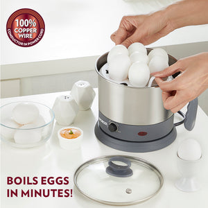 Borosil Quick Multi Kettle, 1.3L